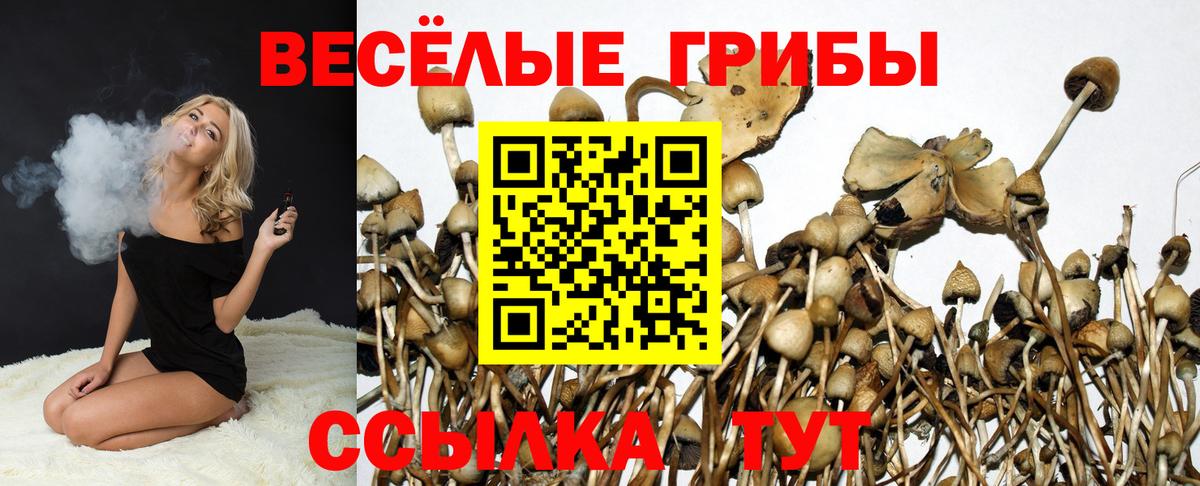 купить  цена  Псилоцибиновые грибы Psilocybe  Тимашёвск  Вход с VPN  Псилоцибиновые грибы мухоморы 